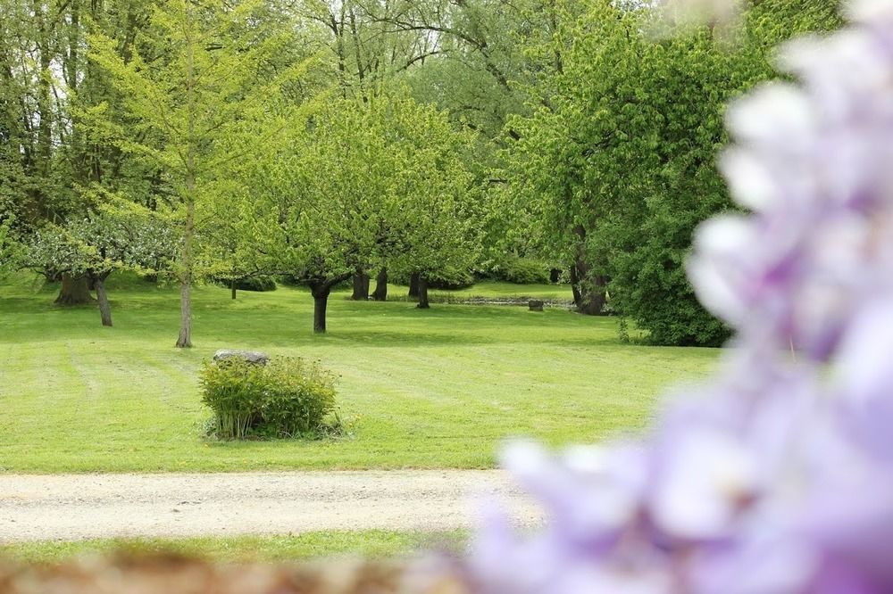 Bed and Breakfast Domaine Pont Juillet Fontaines  Exterior foto
